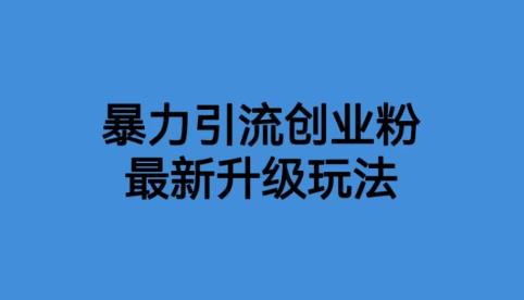 【副业项目6372期】价值1980一千个野路子暴力引流最新升级玩法【揭秘】-知行副业网