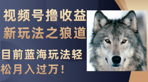 【副业项目8271期】视频号撸收益新玩法之狼道，目前蓝海玩法轻松月入过万！-知行副业网