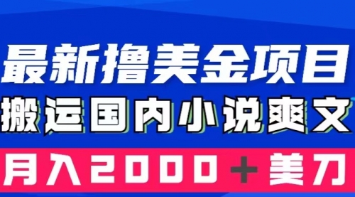 【副业项目8408期】国内小说爽文搬运到国外，复制粘贴一月2000+美金-知行副业网