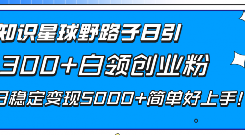 【副业项目8492期】知识星球野路子日引300+白领创业粉-知行副业网