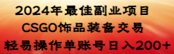 【副业8982期】2024年最佳副业项目 CSGO饰品装备交易 轻易操作单账号日入200+-知行副业网